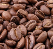 Арабика и робуста — отличия и особенности